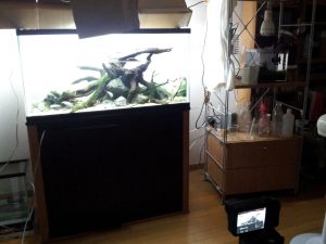 水槽の写真撮影をしました!腰が痛いです・・・