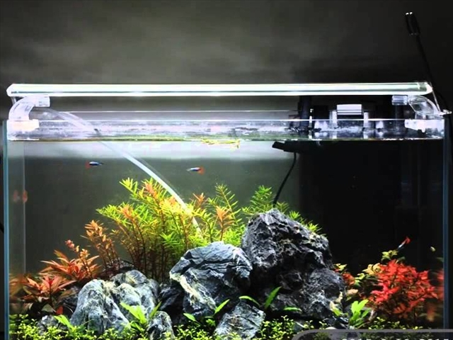 メタハラ 蛍光灯 照明 吊り下げ 水草 水槽 熱帯魚 アクアリウム 