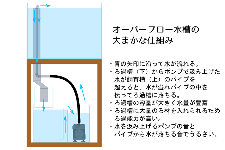 オーバーフロー水槽の自作方法 ―設計・穴あけ・配管他 - AquaTurtlium
