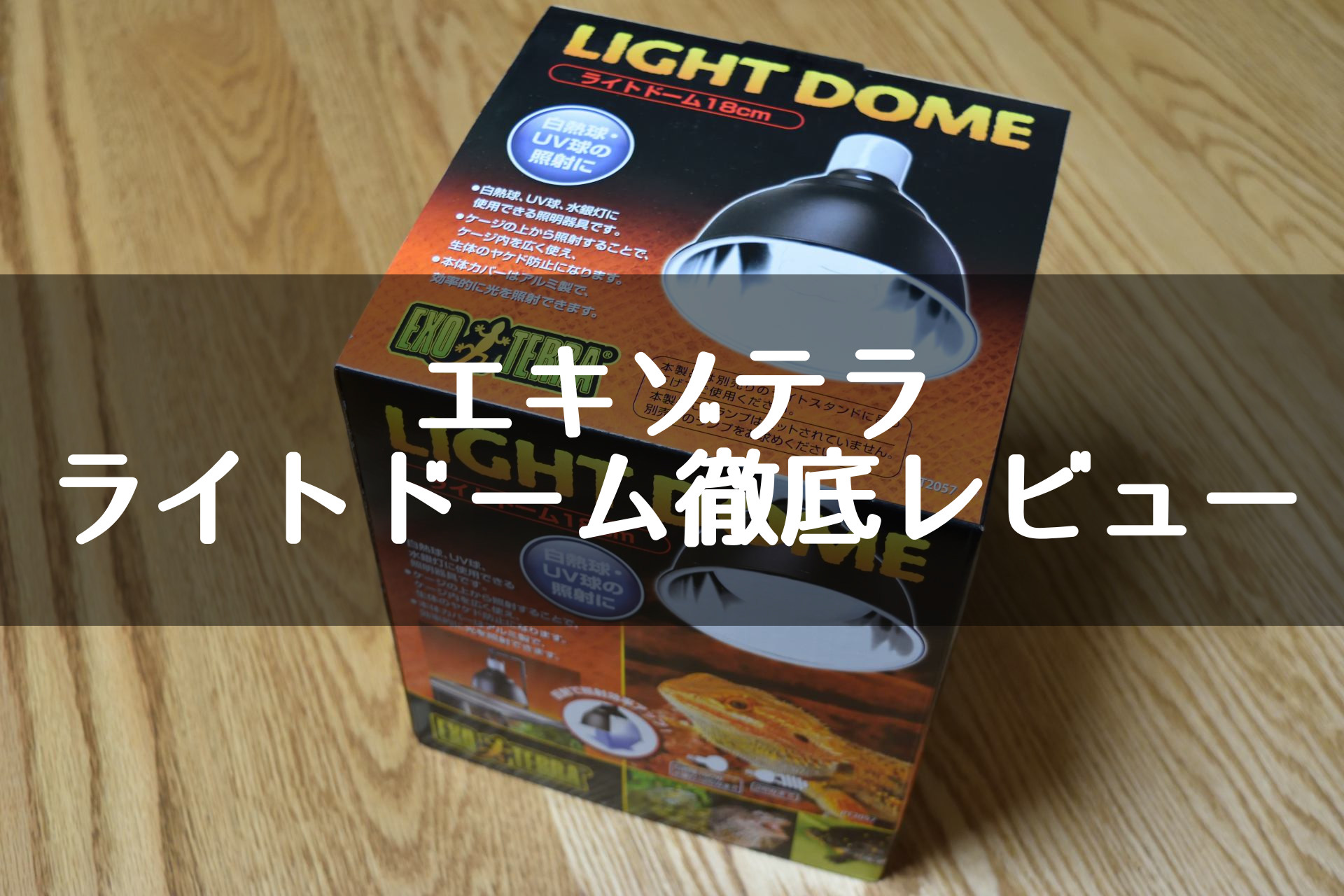エキゾテラ ライトドームをレビュー 長所 短所や類似製品との比較