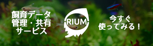 飼育データ管理・共有サービス「RIUM」を今すぐ使ってみよう！